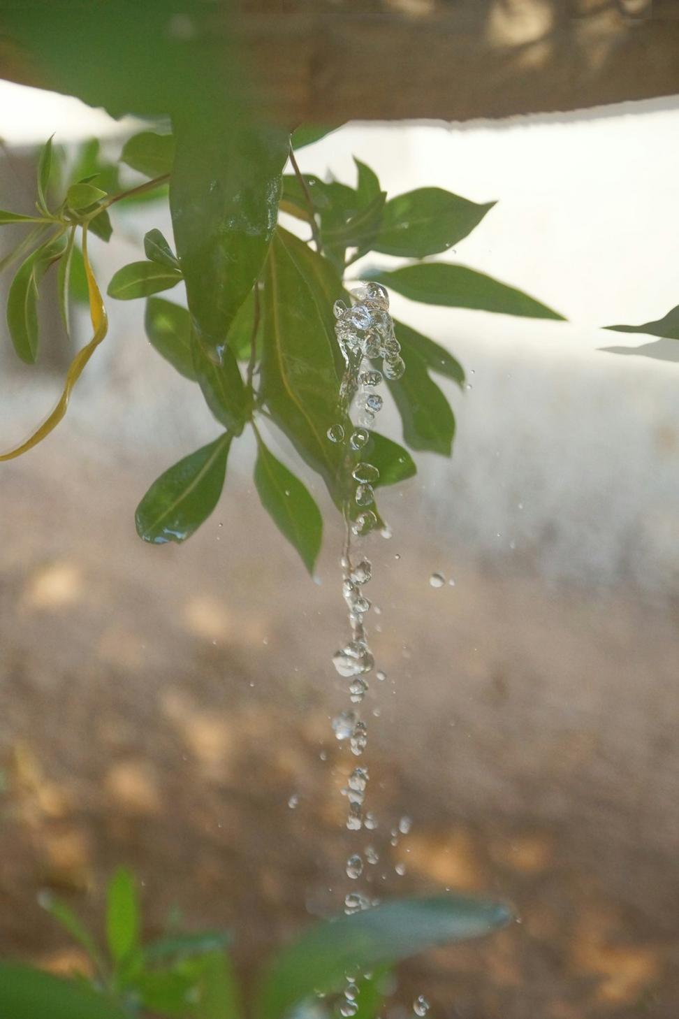 Water Management