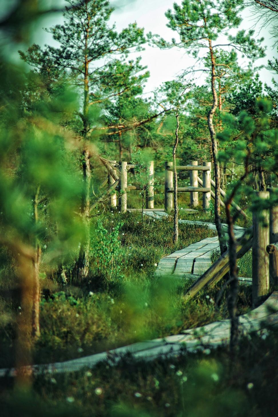 Sustainable Architecture