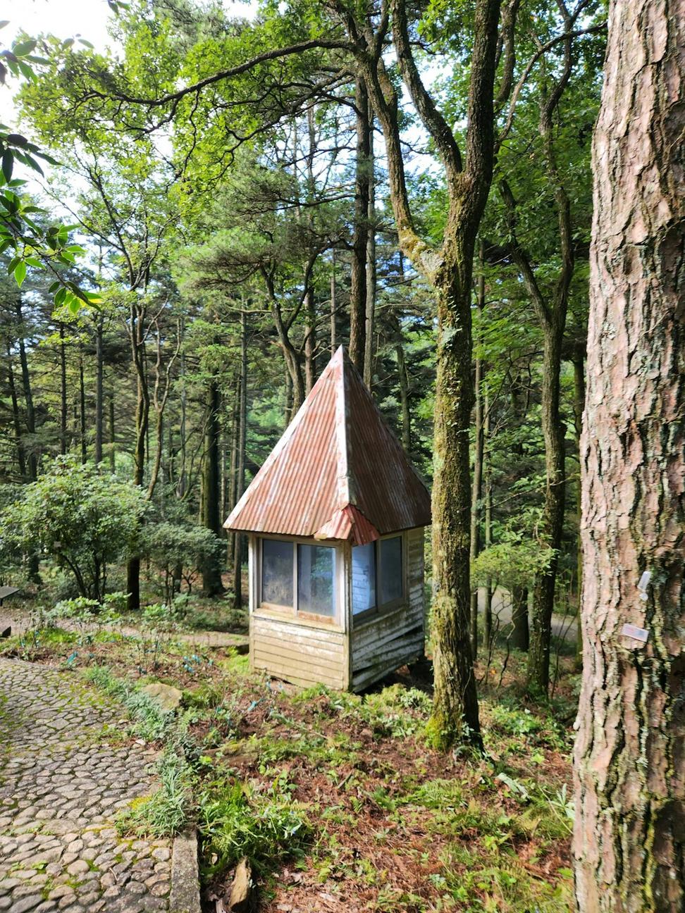 Residential timber architecture