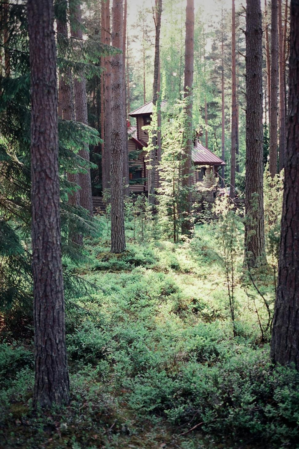 Whistler Mountain Residence